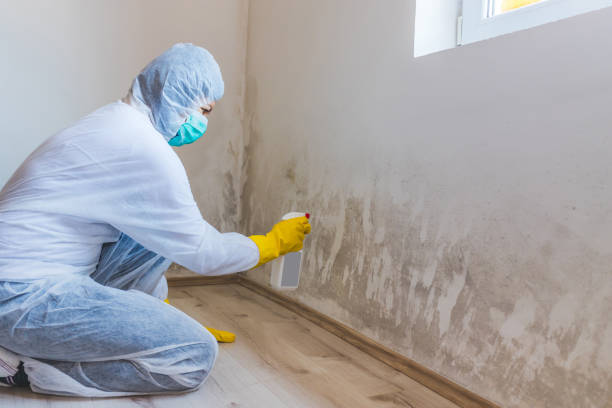 Crawl Space Mold Removal in Parker, AZ