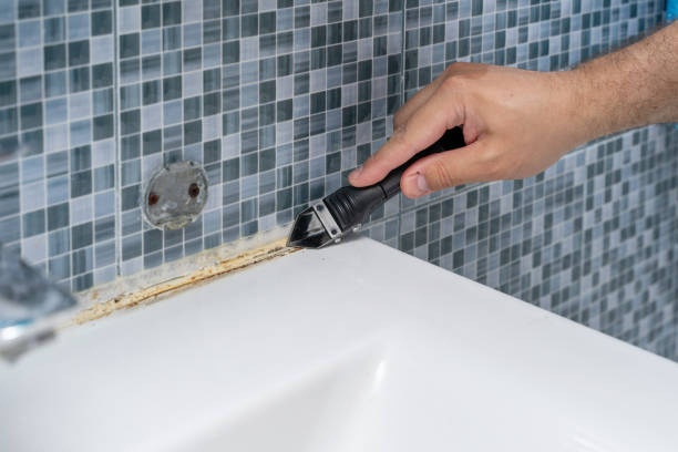 Best Black Mold Removal  in Parker, AZ