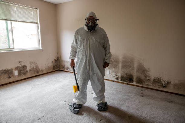 Best Mold Remediation  in Parker, AZ